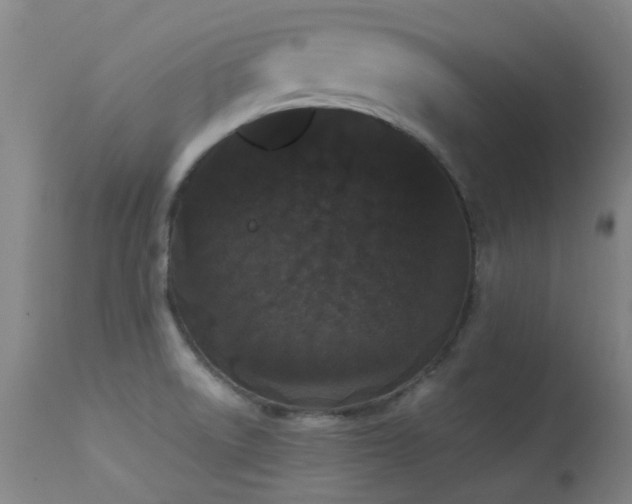 X0000113241522200909171550