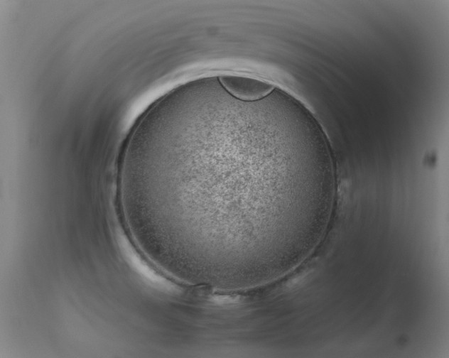 X0000113241523200909171550