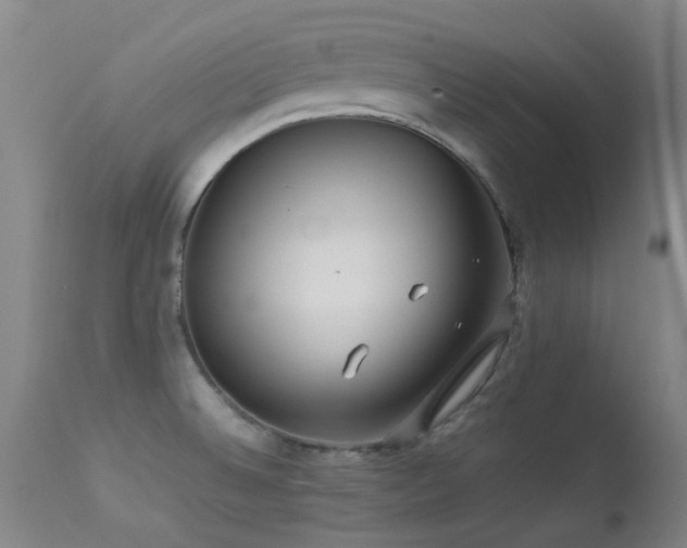 X0000113241524200909171550