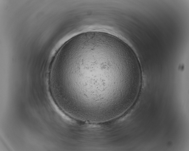 X0000113241525200909171550