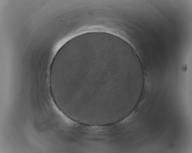 X0000113241527200909171550