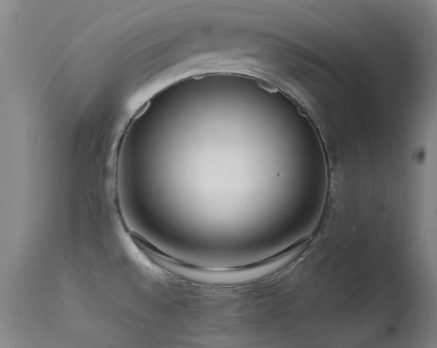 X0000113241528200909171550