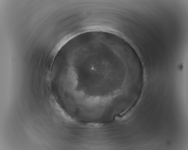 X0000113241529200909171550