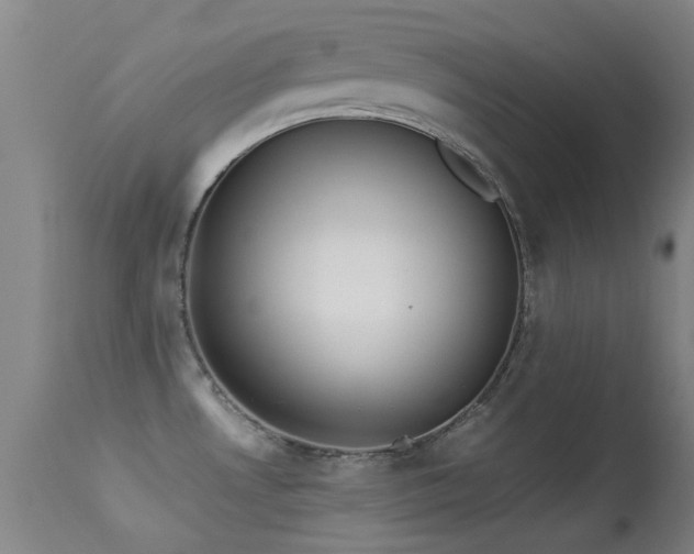 X0000113241530200909171550