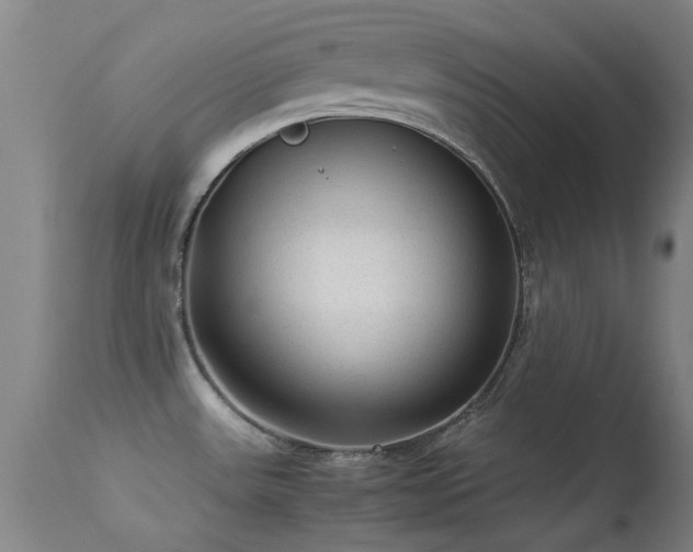 X0000113241531200909171550