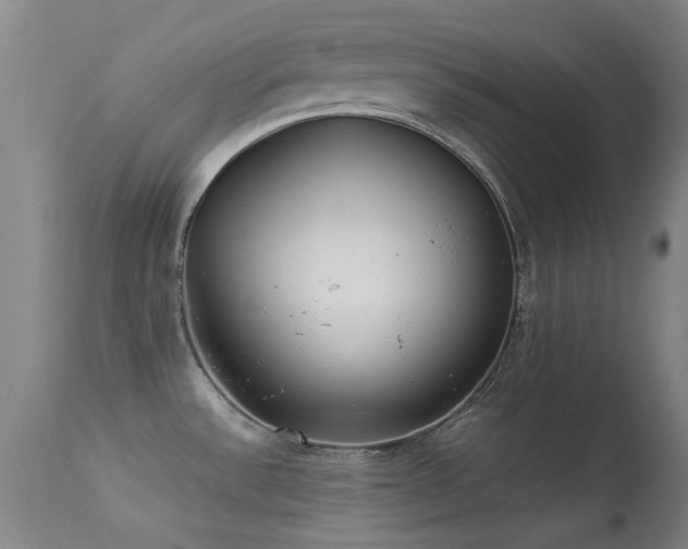 X0000113241532200909171550