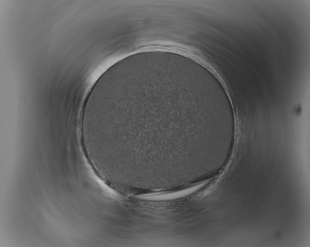 X0000113241533200909171550