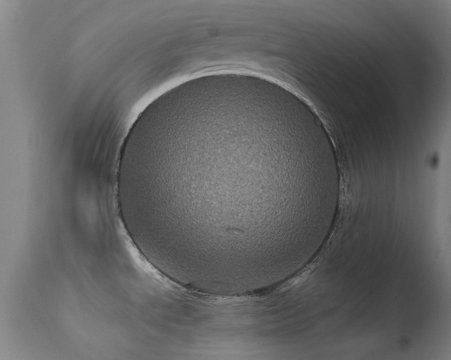 X0000113241534200909171550