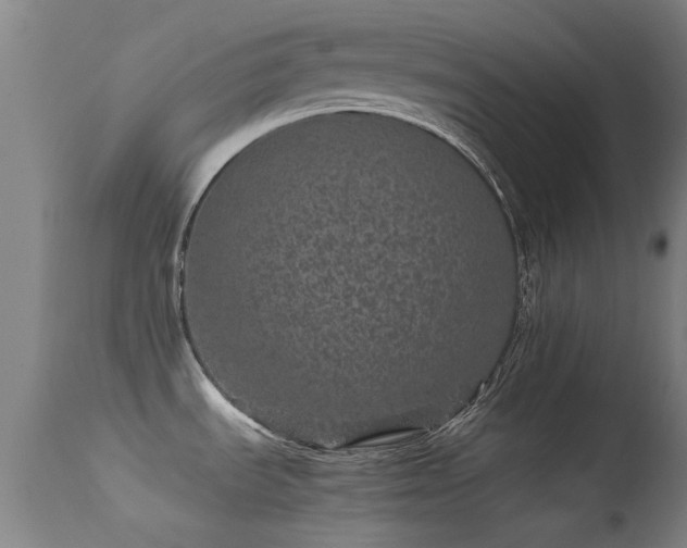 X0000113241535200909171550