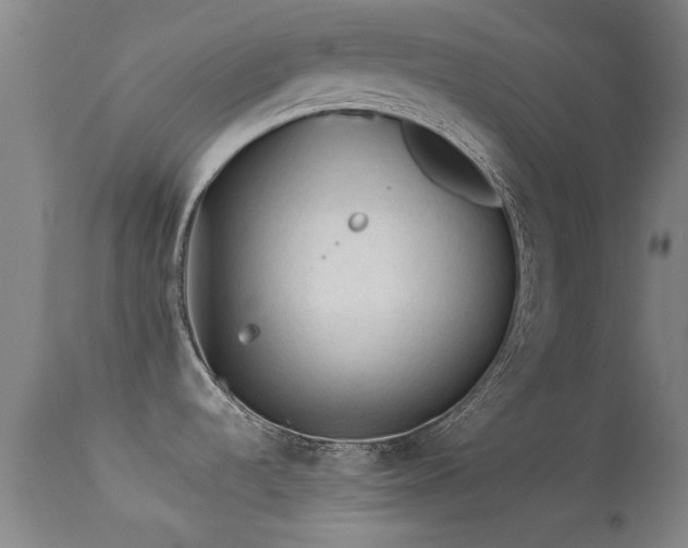 X0000113241536200909171550