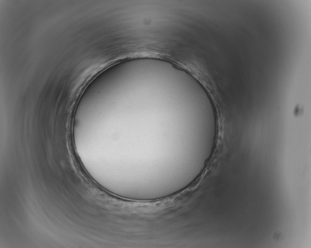 X0000113240001200909241557