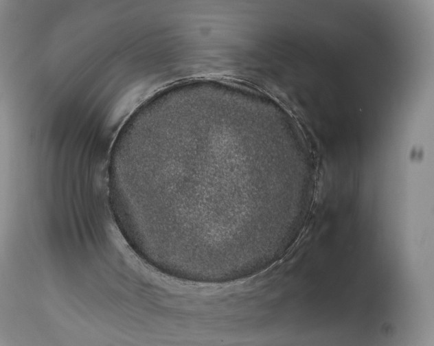 X0000113240002200909241557