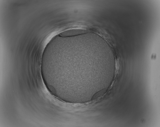 X0000113240003200909241557