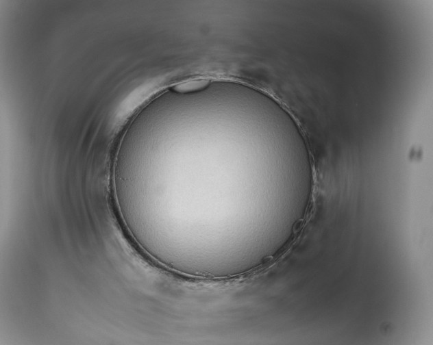 X0000113240005200909241557