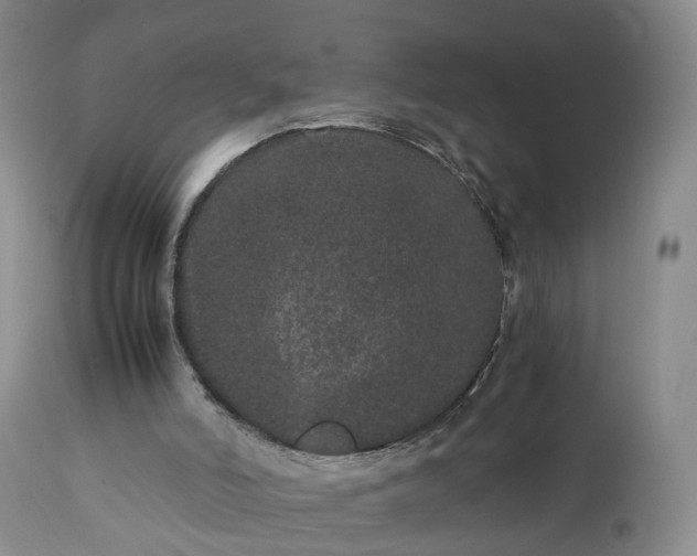 X0000113240006200909241557