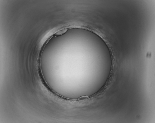 X0000113240007200909241557