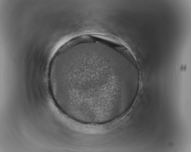 X0000113240008200909241557