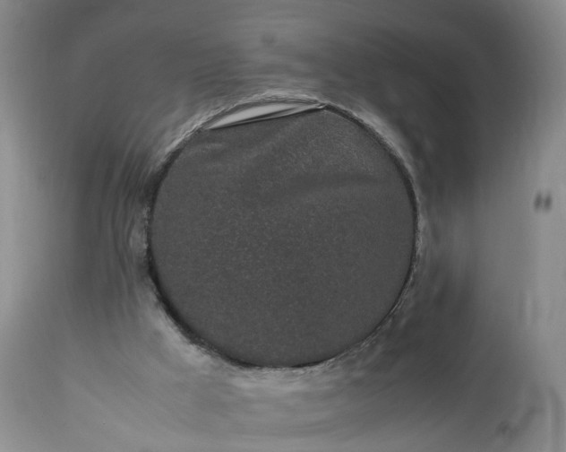 X0000113240009200909241557