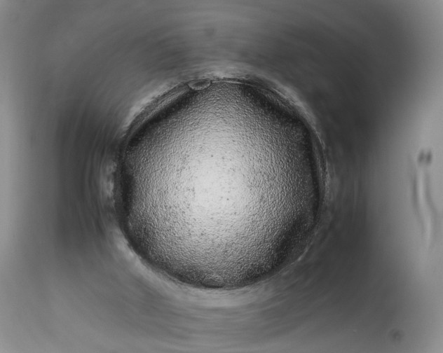 X0000113240010200909241557