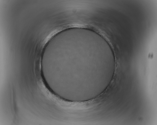 X0000113240011200909241557