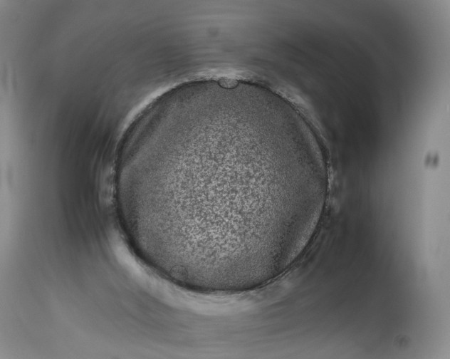 X0000113240012200909241557