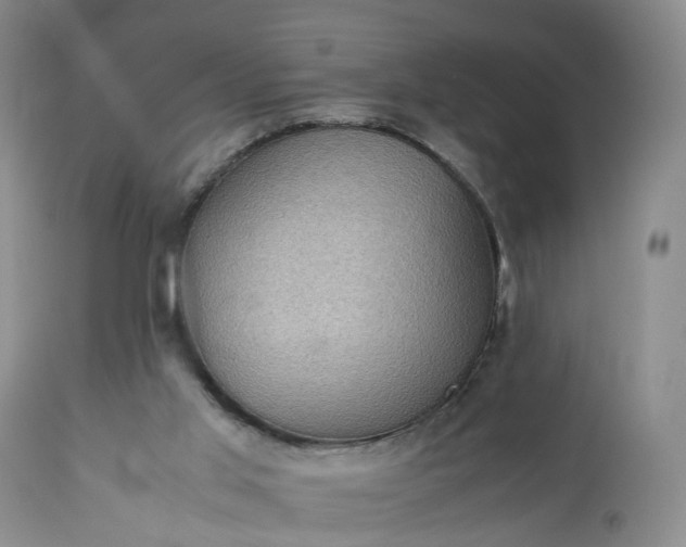 X0000113240013200909241557