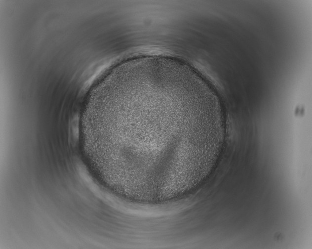 X0000113240014200909241557