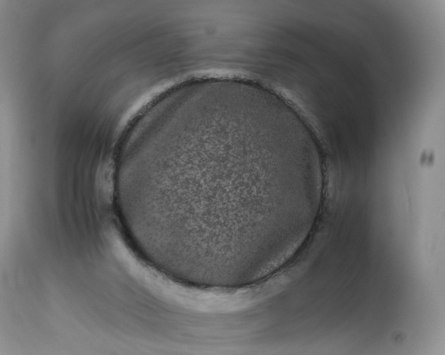 X0000113240016200909241557