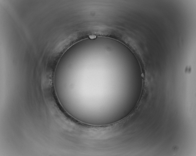 X0000113240017200909241557