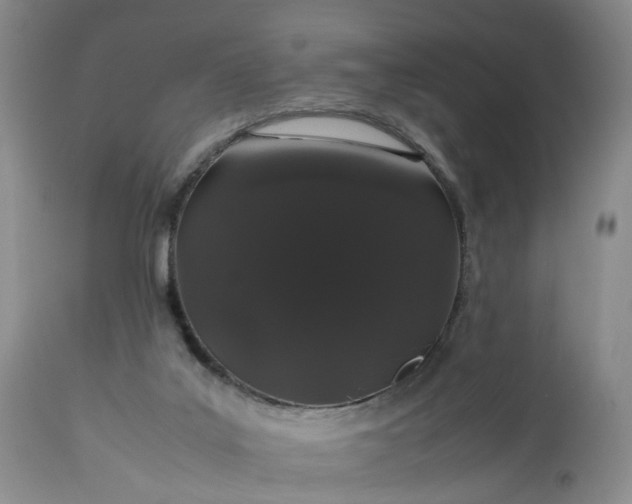 X0000113240019200909241557