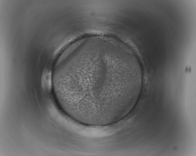 X0000113240020200909241557