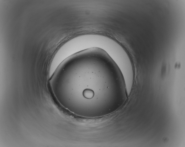 X0000113240021200909241557