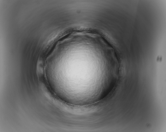 X0000113240022200909241557