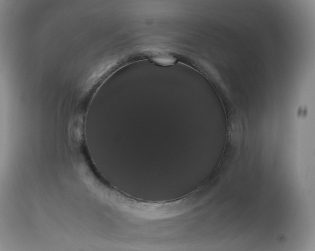 X0000113240023200909241557