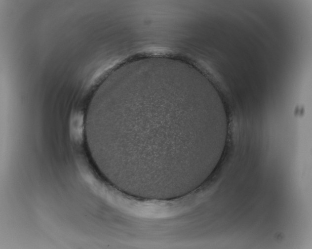 X0000113240024200909241557