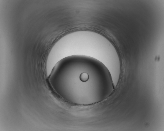 X0000113240025200909241557