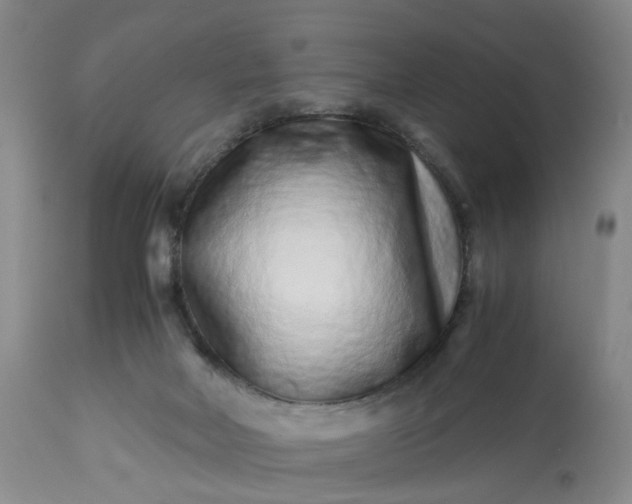 X0000113240026200909241557