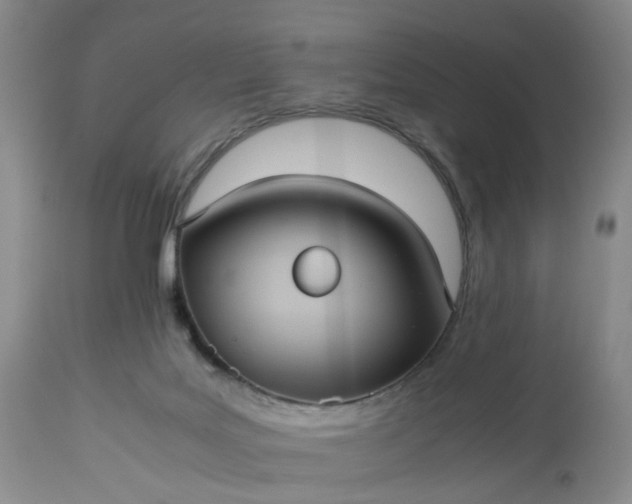 X0000113240027200909241557