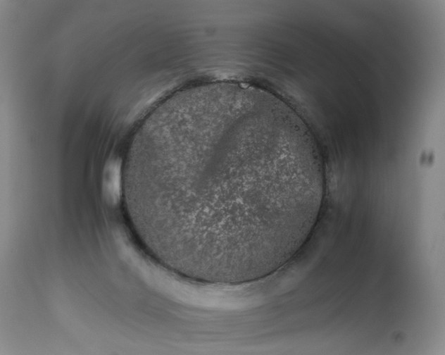 X0000113240028200909241557