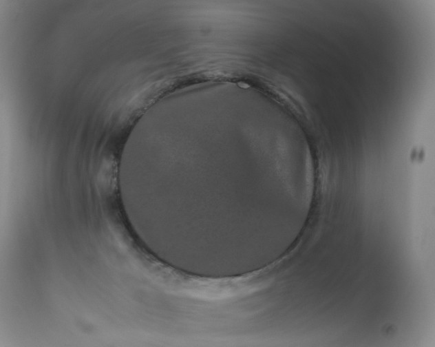 X0000113240029200909241557