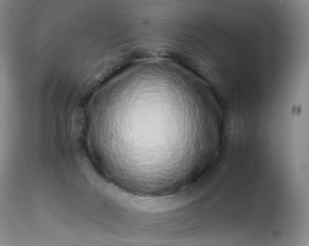 X0000113240030200909241557