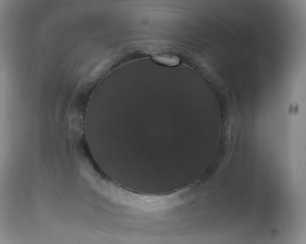 X0000113240031200909241557