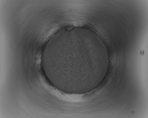 X0000113240032200909241557