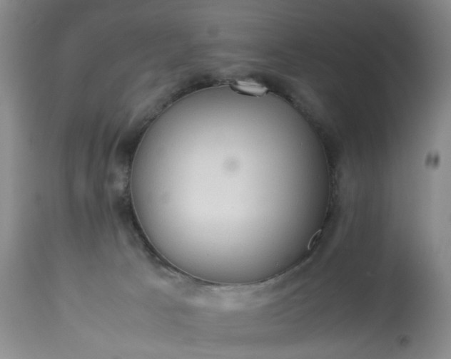 X0000113240033200909241557