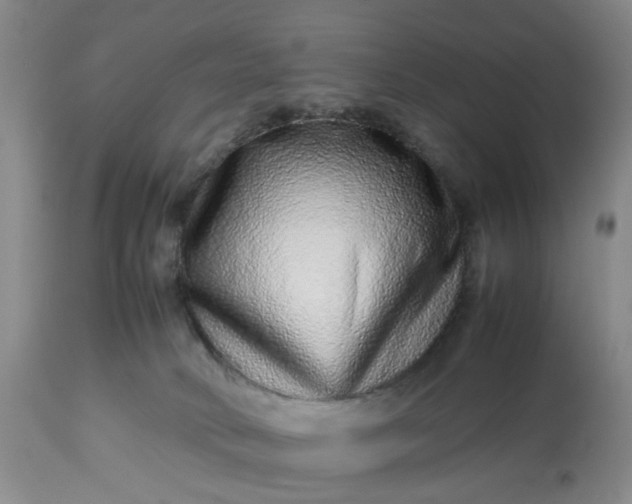 X0000113240034200909241557