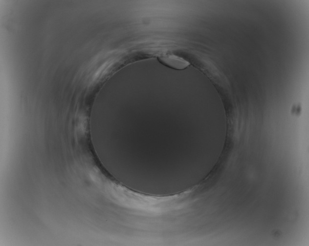 X0000113240035200909241557