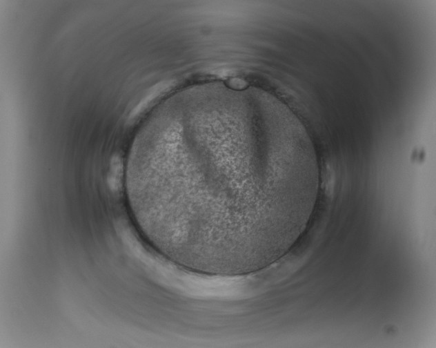 X0000113240036200909241557