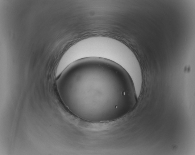 X0000113240037200909241557