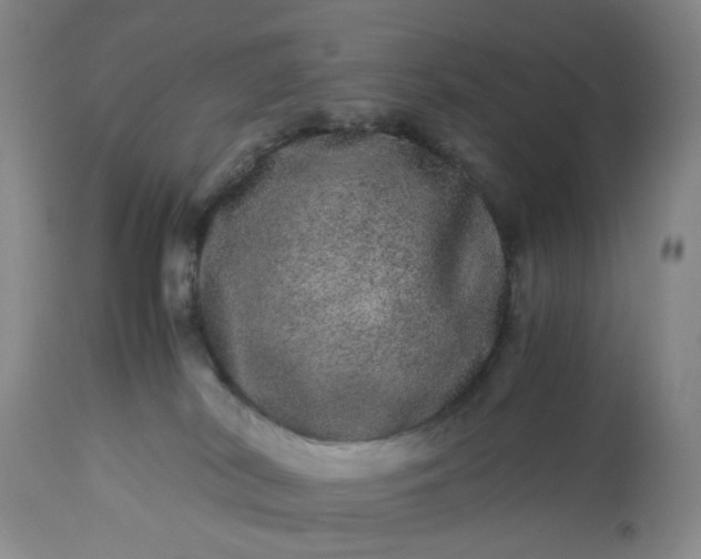 X0000113240038200909241557