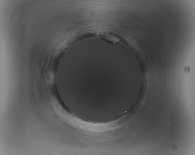 X0000113240039200909241557